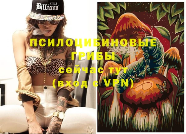 apvp Алексеевка